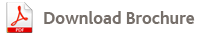 Download PDF